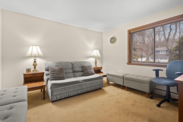 living room with carpet floors and a baseboard radiator