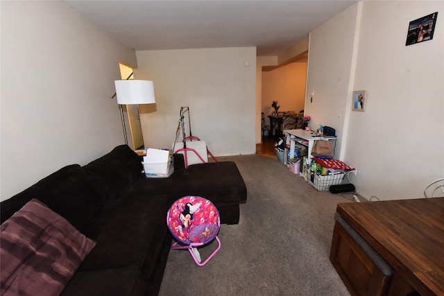 view of carpeted living area