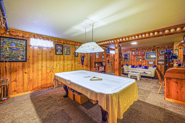 playroom with wood walls and carpet floors