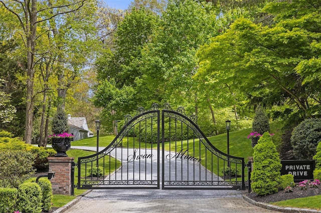 view of gate with a yard