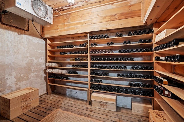 wine area featuring wood-type flooring