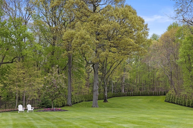 view of community with a yard and a forest view