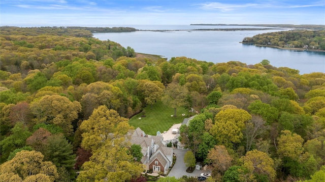 bird's eye view featuring a view of trees and a water view