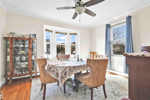 dining area featuring a wealth of natural light, wood finished floors, and ornamental molding