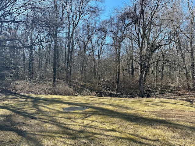 view of yard featuring a wooded view