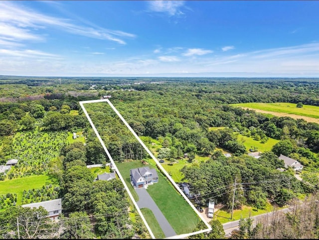 329 Weeks Ave, Manorville, NY 11949 - photo 4