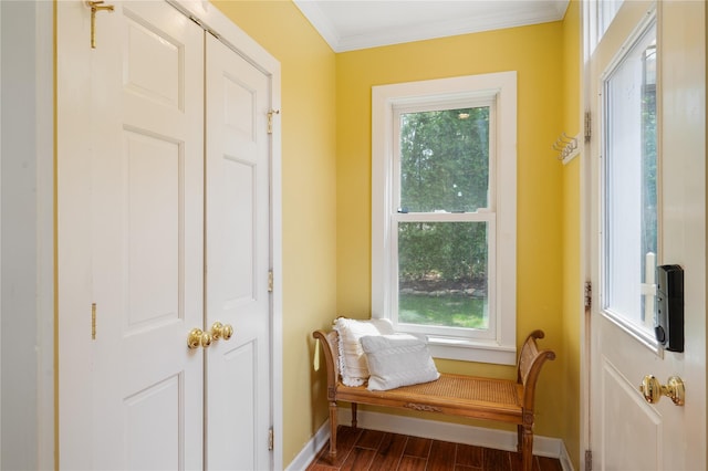 66 Drake Rd, Scarsdale, NY 10583 - doorway featuring baseboards, plenty of natural light, dark wood finished floors, and crown molding