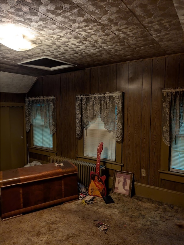 45 Clancy Ave, New Windsor, NY 12553 - miscellaneous room featuring radiator heating unit, carpet flooring, and wood walls