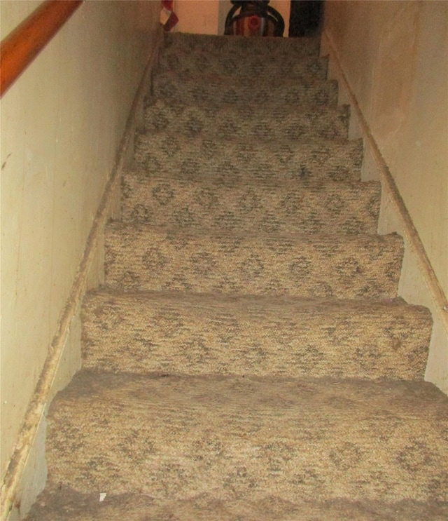 stairs with carpet floors