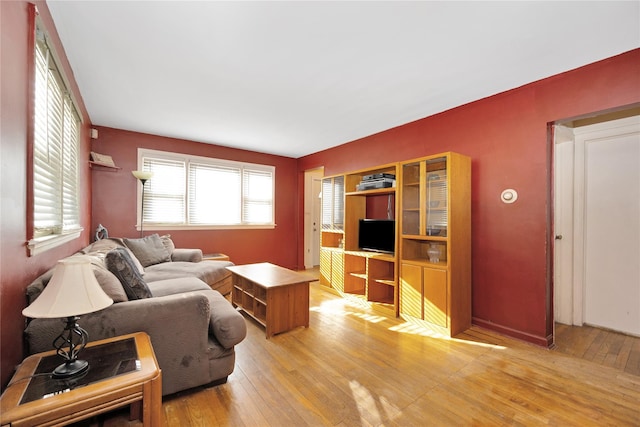 living area featuring light wood finished floors