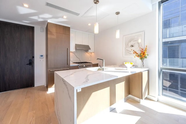33-66 Farrington St Unit 15G, Flushing, NY 11354 - kitchen featuring visible vents, light wood-style floors, under cabinet range hood, premium appliances, and backsplash