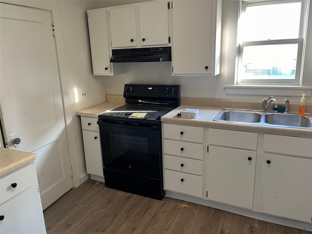 kitchen featuring a sink, under cabinet range hood, electric range, and wood finished floors