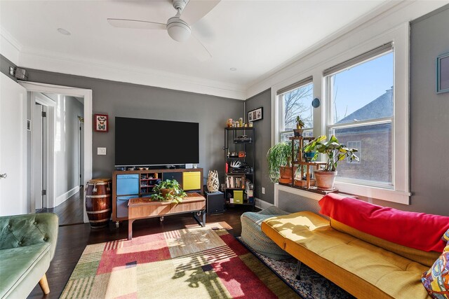 living area featuring wood finished floors, a ceiling fan, baseboards, and ornamental molding