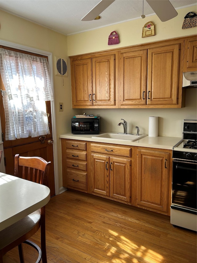 kitchen with a sink, range with electric cooktop, exhaust hood, and a ceiling fan