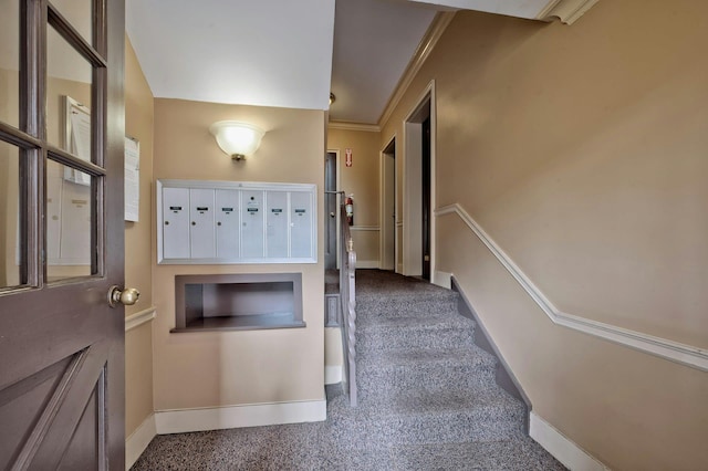 staircase with mail area, baseboards, carpet, and ornamental molding