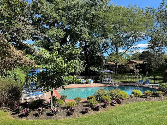 pool featuring a patio and fence