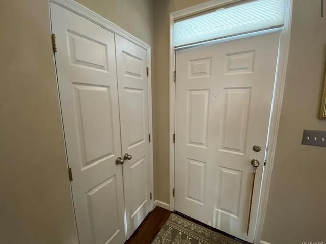 doorway to outside featuring dark wood-type flooring