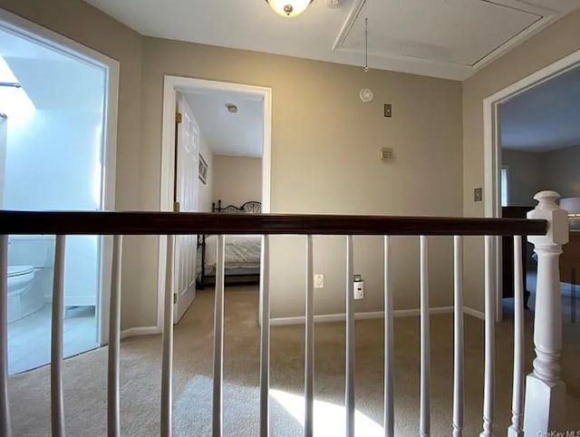 hall featuring attic access, baseboards, and carpet floors