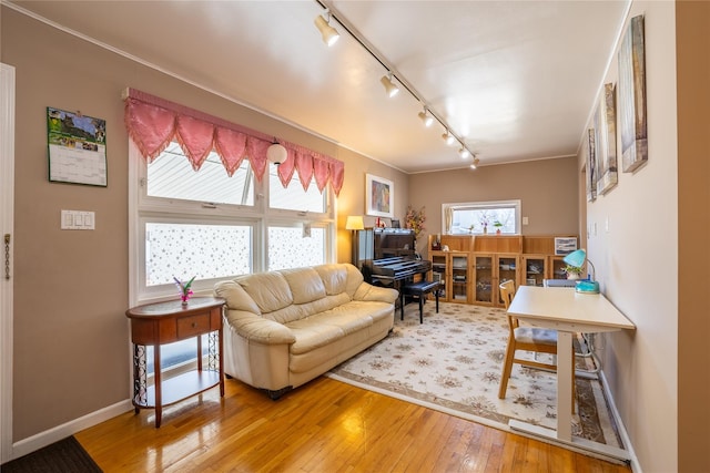 living room featuring baseboards and hardwood / wood-style flooring