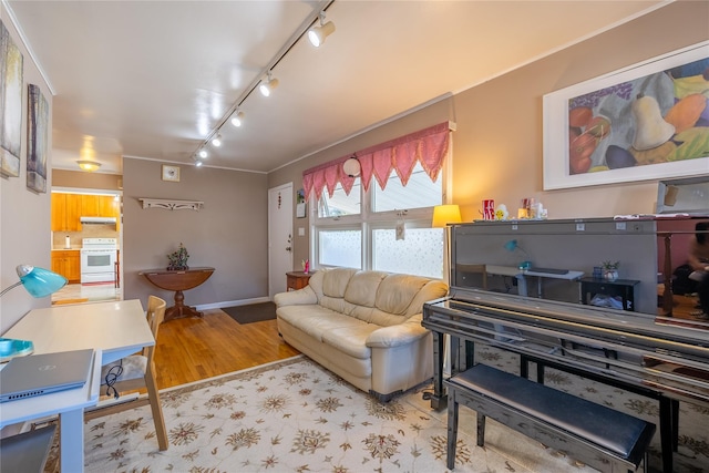 living room featuring track lighting, wood finished floors, and baseboards