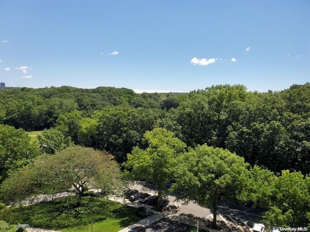 bird's eye view with a forest view