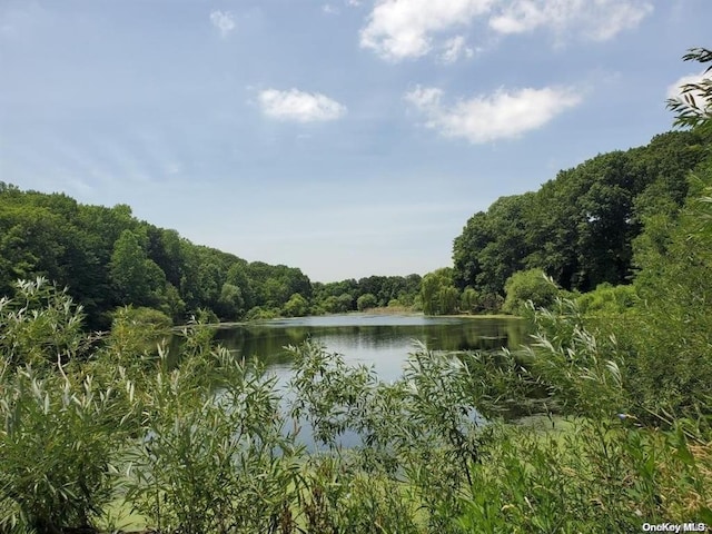 water view featuring a view of trees