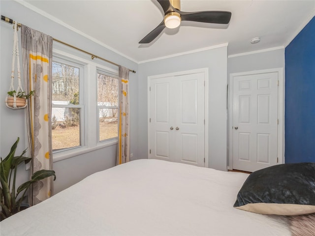 bedroom featuring a closet, ornamental molding, and a ceiling fan