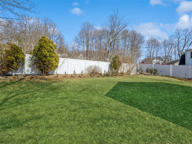 view of yard with a fenced backyard