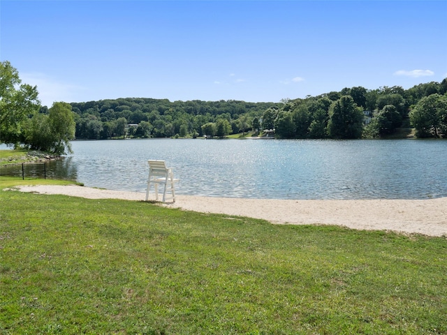 water view featuring a view of trees