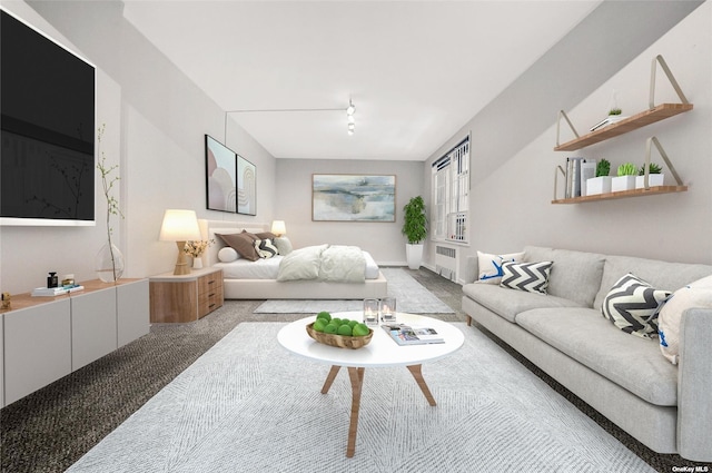 bedroom with radiator, rail lighting, and carpet floors