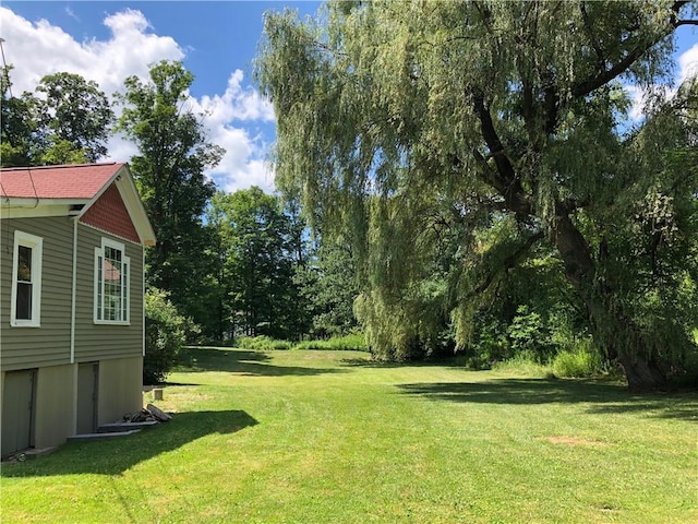65 Boris Rd, Bloomingburg, NY 12721 - view of yard