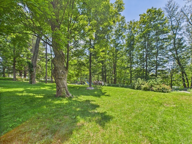 65 Boris Rd, Bloomingburg, NY 12721 - photo 6