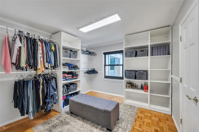 view of spacious closet