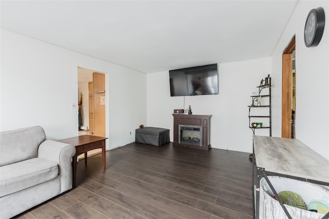 living area featuring dark wood finished floors and a fireplace