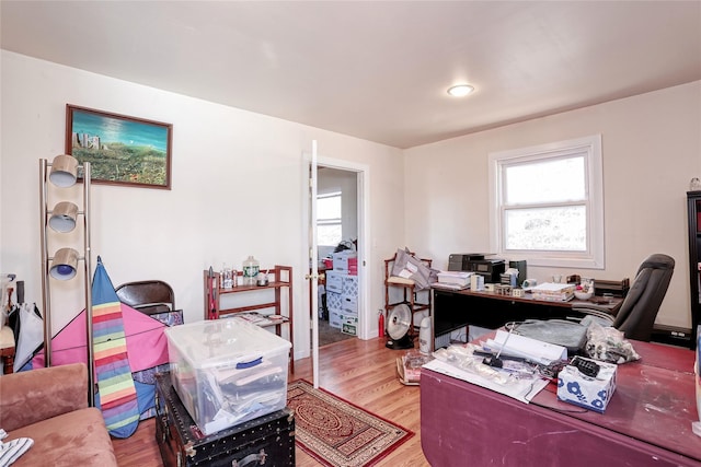 home office featuring wood finished floors