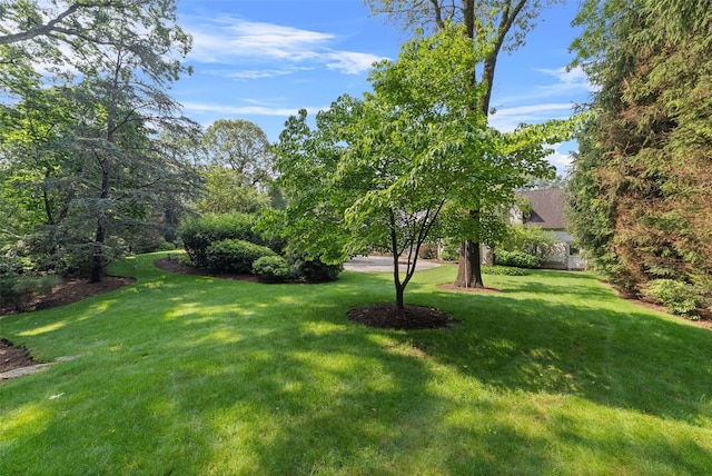 2 Camden Ct, Irvington, NY 10533 - view of grassy yard