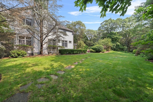 2 Camden Ct, Irvington, NY 10533 - view of yard
