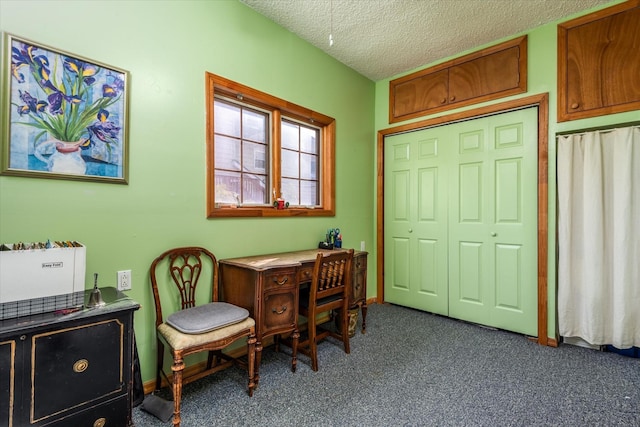 office area featuring carpet floors and a textured ceiling