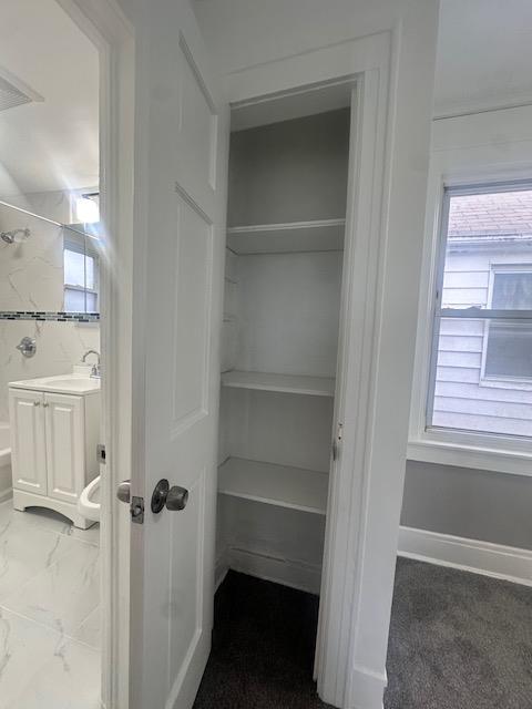 closet featuring a sink