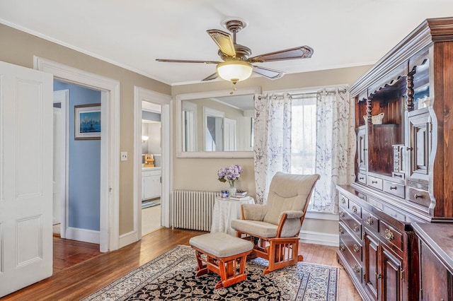 sitting room with radiator, light wood-type flooring, ceiling fan, and ornamental molding