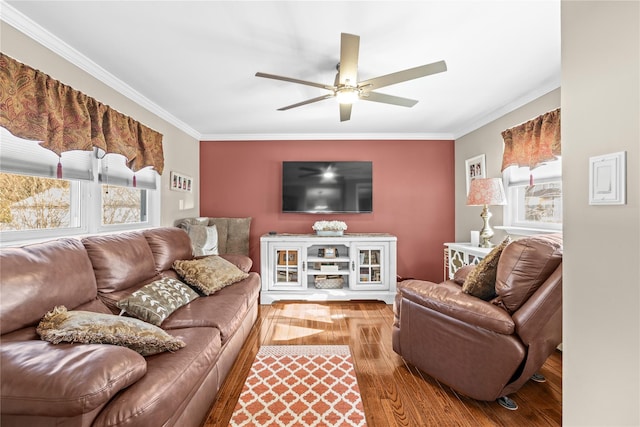 724 Thrush Ave, West Hempstead, NY 11552 - living room with ornamental molding, wood finished floors, and ceiling fan
