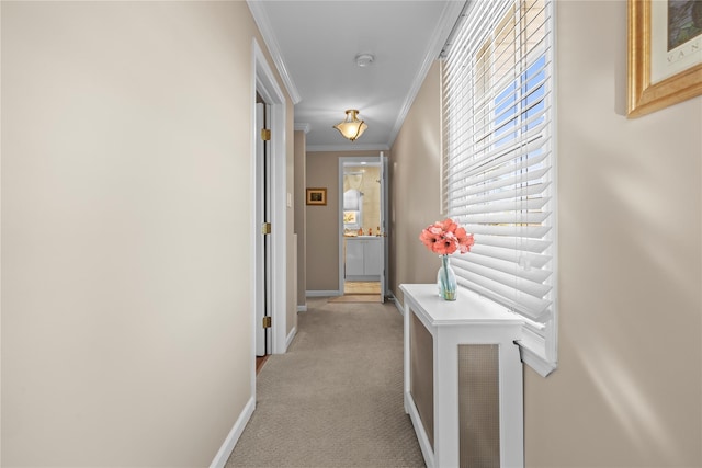 724 Thrush Ave, West Hempstead, NY 11552 - corridor featuring light carpet, baseboards, and ornamental molding