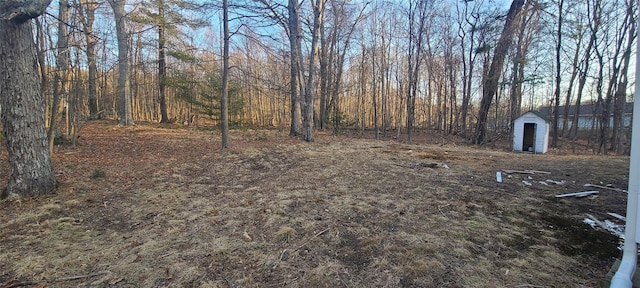 view of yard with a storage shed and an outdoor structure