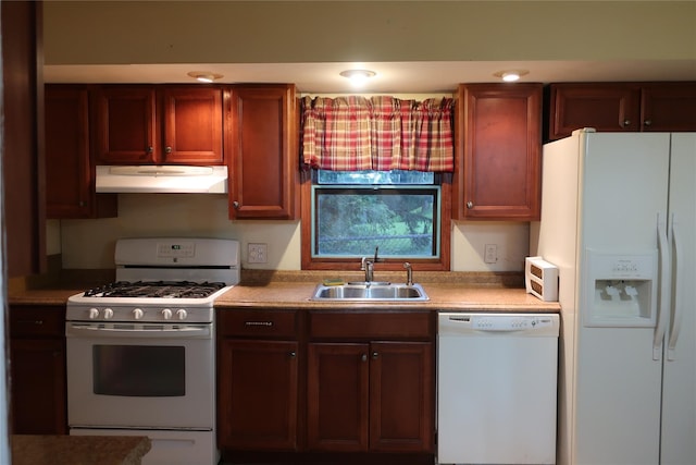 kitchen featuring under cabinet range hood, white appliances, light countertops, and a sink