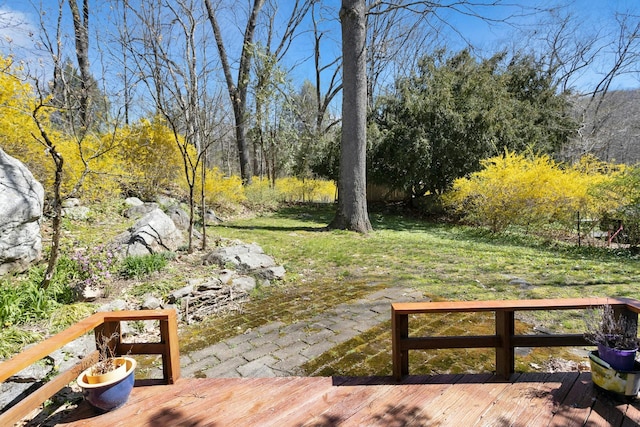 view of yard featuring a deck