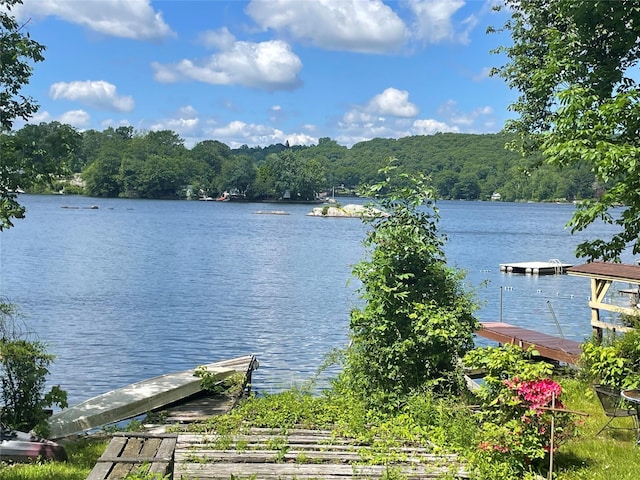 dock area with a wooded view and a water view