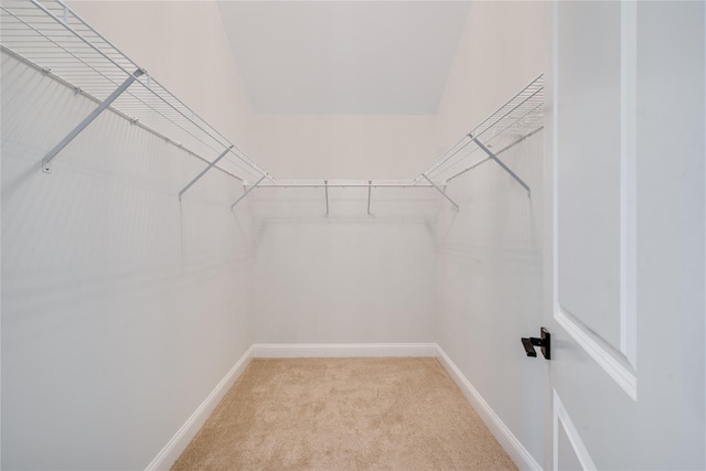 spacious closet with light carpet