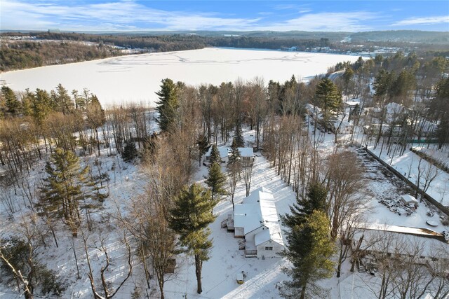 380 Fraser Rd, Kiamesha Lake, NY 12751 - snowy aerial view featuring a forest view and a water view