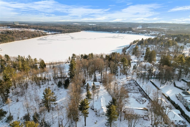380 Fraser Rd, Kiamesha Lake, NY 12751 - view of snowy aerial view