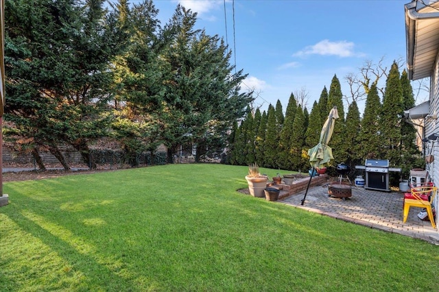 view of yard featuring a patio area